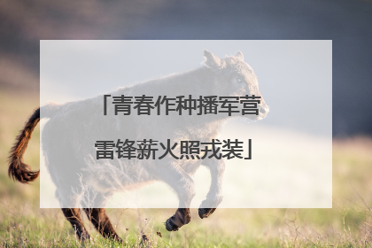 青春作种播军营 雷锋薪火照戎装