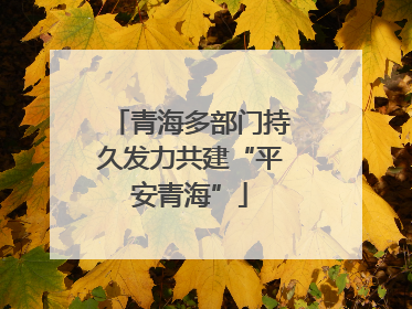 青海多部门持久发力共建“平安青海”