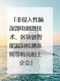 非侵入性脑深部电刺激技术、区块链智能漏洞检测系统等将亮相上交会