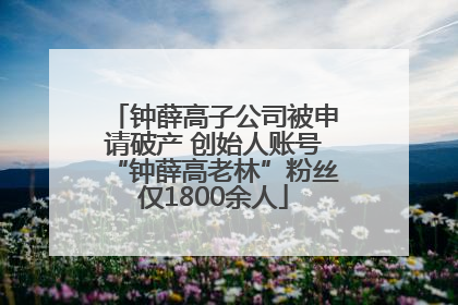 钟薛高子公司被申请破产 创始人账号“钟薛高老林”粉丝仅1800余人