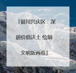 银川兴庆区：深耕价值沃土 绘制文明新画卷
