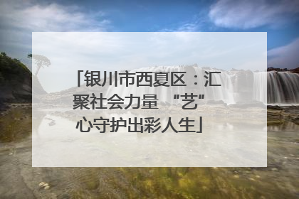 银川市西夏区：汇聚社会力量 “艺”心守护出彩人生