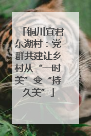 铜川宜君东湖村：党群共建让乡村从“一时美”变“持久美”