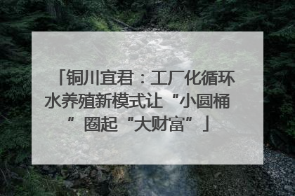 铜川宜君：工厂化循环水养殖新模式让“小圆桶”圈起“大财富”
