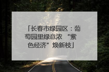 长春市绿园区：葡萄园里绿意浓 “紫色经济”焕新枝
