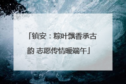 镇安：粽叶飘香承古韵 志愿传情暖端午
