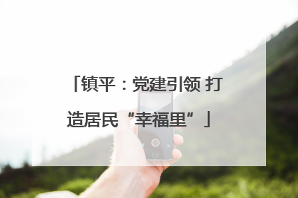镇平：党建引领 打造居民“幸福里”