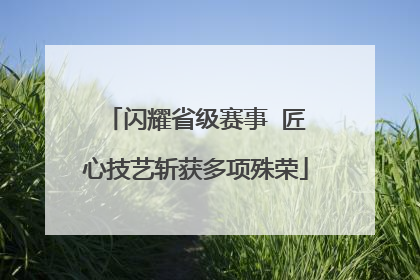闪耀省级赛事  匠心技艺斩获多项殊荣