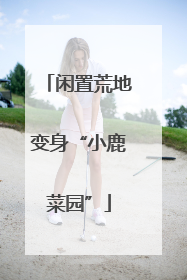 闲置荒地变身“小鹿菜园”