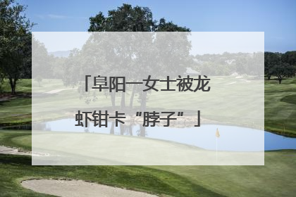 阜阳一女士被龙虾钳卡“脖子”