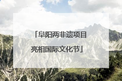 阜阳两非遗项目亮相国际文化节