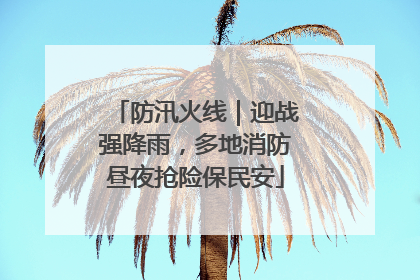 防汛火线｜迎战强降雨，多地消防昼夜抢险保民安
