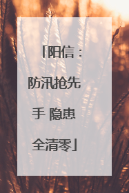 阳信：防汛抢先手 隐患全清零