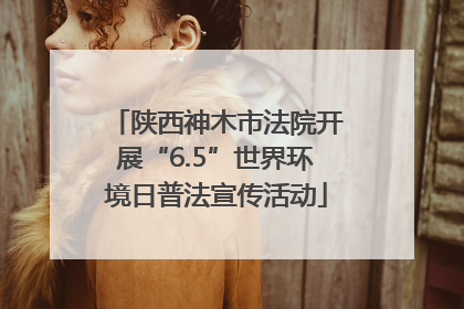 陕西神木市法院开展“6.5”世界环境日普法宣传活动