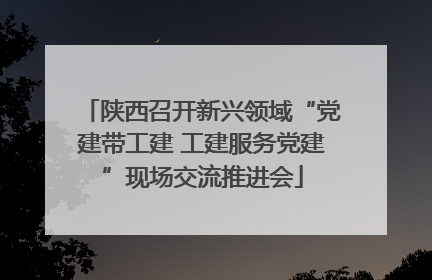 陕西召开新兴领域“党建带工建 工建服务党建”现场交流推进会