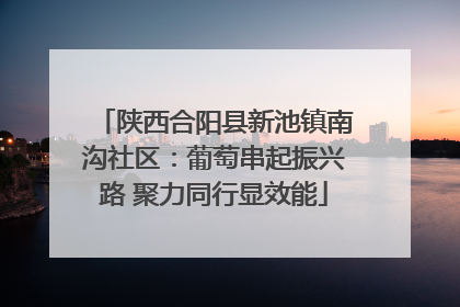 陕西合阳县新池镇南沟社区：葡萄串起振兴路 聚力同行显效能