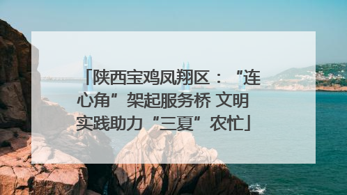 陕西宝鸡凤翔区：“连心角”架起服务桥 文明实践助力“三夏”农忙