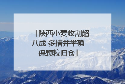 陕西小麦收割超八成 多措并举确保颗粒归仓