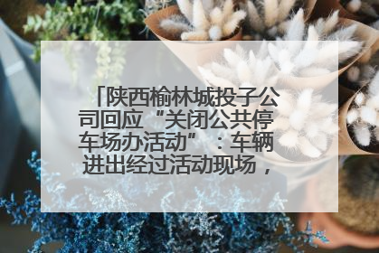 陕西榆林城投子公司回应“关闭公共停车场办活动”：车辆进出经过活动现场，为安全临时关闭