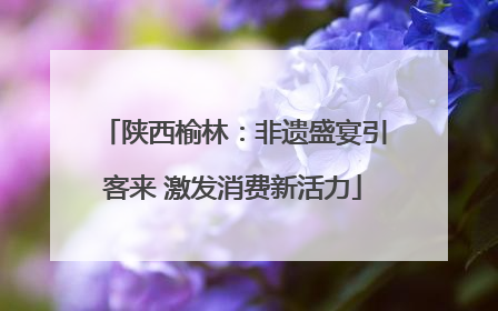 陕西榆林：非遗盛宴引客来 激发消费新活力