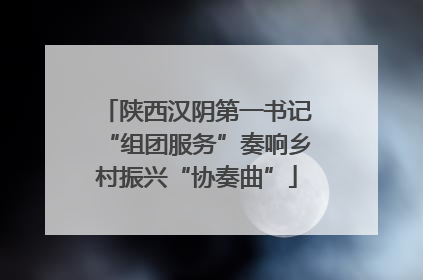 陕西汉阴第一书记“组团服务”奏响乡村振兴“协奏曲”