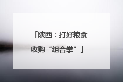 陕西：打好粮食收购“组合拳”