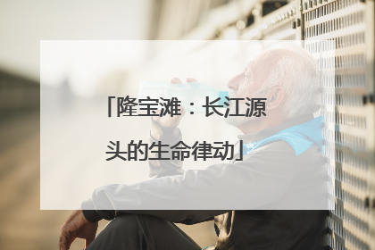 隆宝滩：长江源头的生命律动