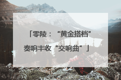 零陵：“黄金搭档”奏响丰收“交响曲”