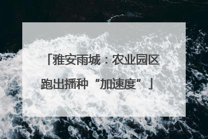 雅安雨城：农业园区跑出播种“加速度”