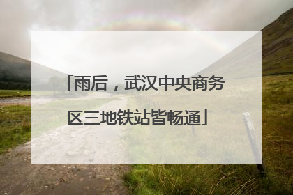 雨后，武汉中央商务区三地铁站皆畅通