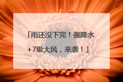 雨还没下完！强降水+7级大风，来袭！
