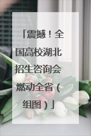 震撼！全国高校湖北招生咨询会燃动全省（组图）
