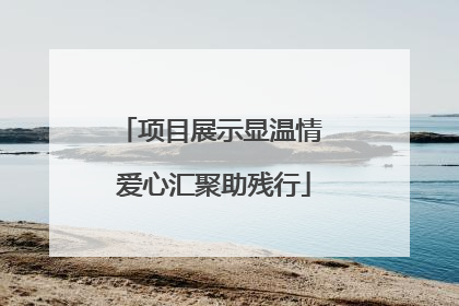 项目展示显温情 爱心汇聚助残行