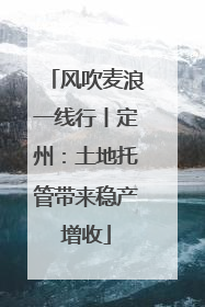 风吹麦浪一线行丨定州：土地托管带来稳产增收