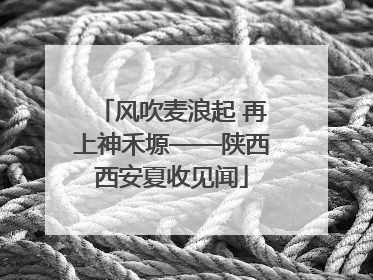 风吹麦浪起 再上神禾塬——陕西西安夏收见闻