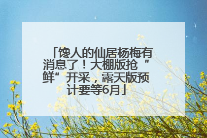 馋人的仙居杨梅有消息了！大棚版抢“鲜”开采，露天版预计要等6月