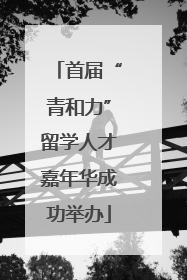 首届“青和力”留学人才嘉年华成功举办