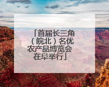 首届长三角（皖北）名优农产品博览会在阜举行