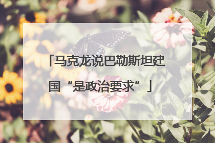 马克龙说巴勒斯坦建国“是政治要求”