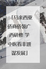 马来西亚侨商侨领广西研修 学中医看非遗谋发展