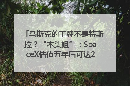 马斯克的王牌不是特斯拉？“木头姐”：SpaceX估值五年后可达2.5万亿美元！