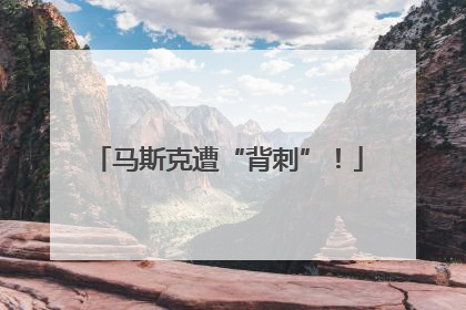 马斯克遭“背刺”！