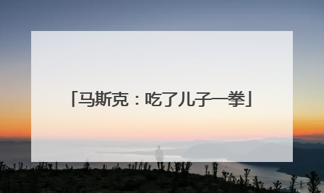 马斯克：吃了儿子一拳