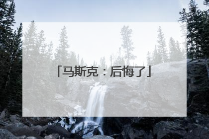 马斯克：后悔了