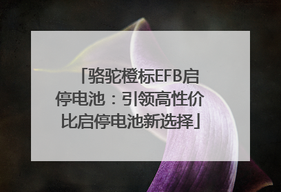 骆驼橙标EFB启停电池：引领高性价比启停电池新选择