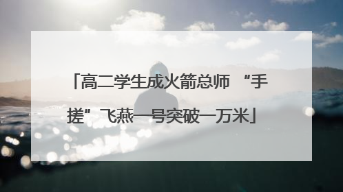 高二学生成火箭总师 “手搓”飞燕一号突破一万米
