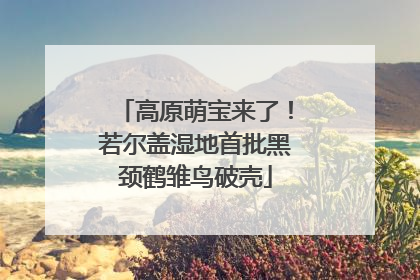 高原萌宝来了！若尔盖湿地首批黑颈鹤雏鸟破壳
