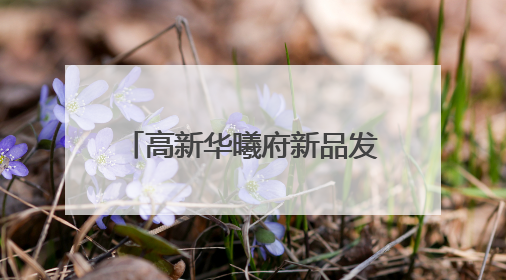 高新华曦府新品发布盛典举办 开启郑州人居新典范