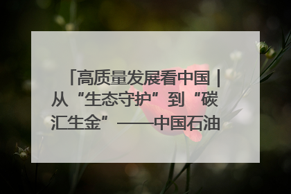 高质量发展看中国｜从“生态守护”到“碳汇生金”——中国石油大庆油田绿色蝶变