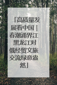 高质量发展看中国｜春潮涌界江 黑龙江对俄经贸文旅交流绿意盎然